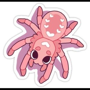 Meet your Posher, Kyra